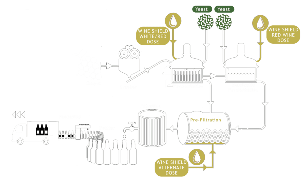 Reducing Reliance On SO2 in Wine - Wineshield